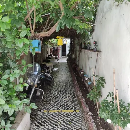 Lavinya * Kusadasi