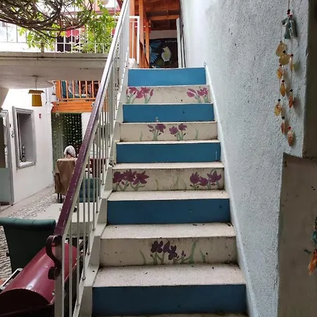 Lavinya