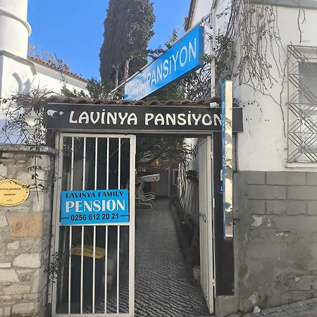 Lavinya Проживание в семье