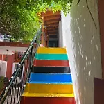 Lavinya * كوشاداسيه