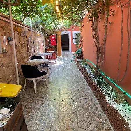 Lavinya Gazde/Camere de închiriat